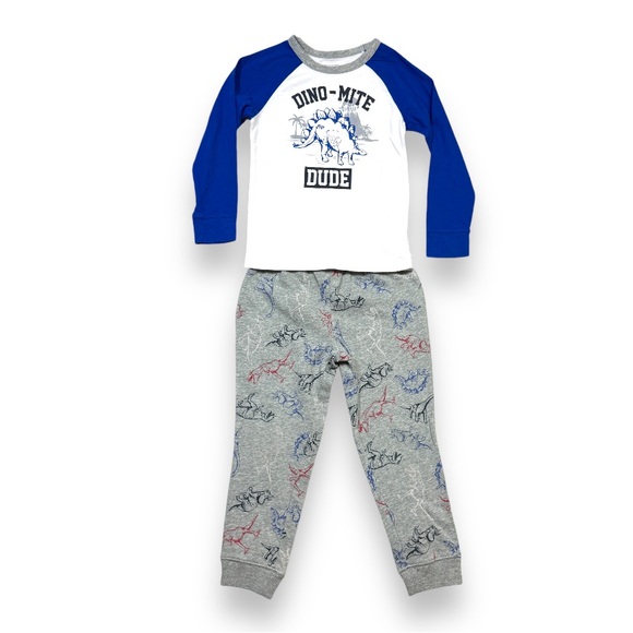 Dinosaur Pajamas Boy’s 5T Gray Set PJs Dino Mite Dude Cozy Fall Warm Winter Cute - Picture 1 of 10